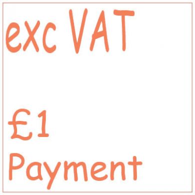 £1 Payment (No VAT)